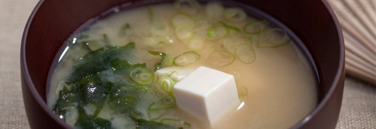 misosuppe_neutral_870x300_12